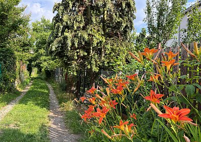 Denivky na konci cesty