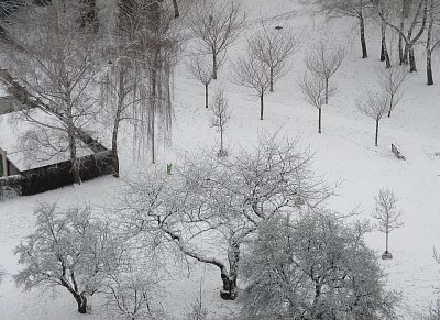 Zimní pohoda pohledem z okna*