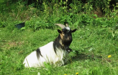 Co po mně zase chceš?