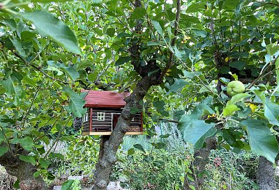 Chaloupko, kdo v tobě přebývá ?