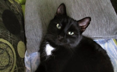 Jsem nesmělý, ale léčím se