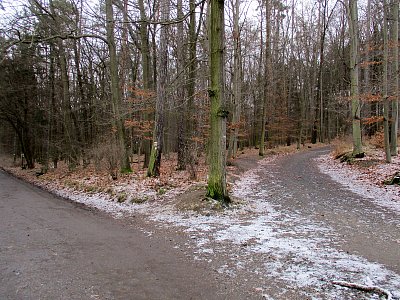 Hromnice v Kunratickém lese