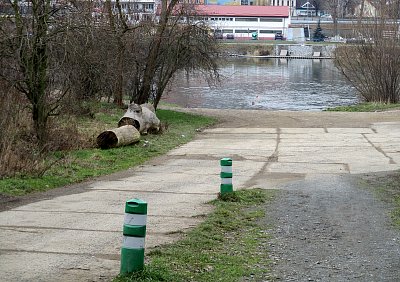 Otužilci v únorové Vltavě