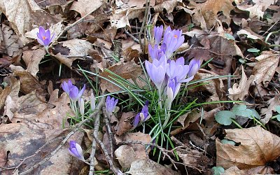 Dalo nám to hodně práce, ale jsme tu....