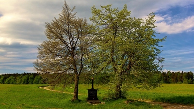 Křížek u Nových Sadů