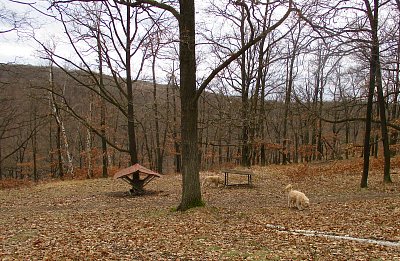 Vše ladí do zlatova