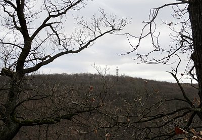 Rozhledna na Závisti*