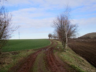 Z dnešní mrazivé ranní vycházky