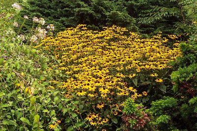 Našel se zlatý poklad