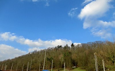 Les u nás za panelákem *