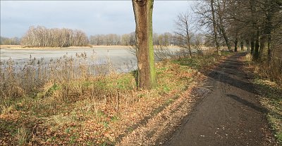 Kolem Poštovního rybníka