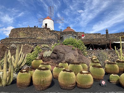 Jardín de Cactus - Lanzarote