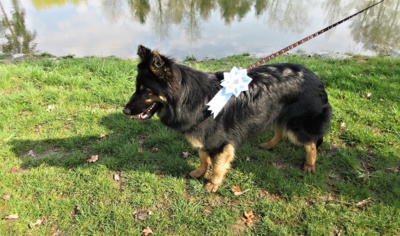 Juniorka a seniorka - zvládly jsme to !