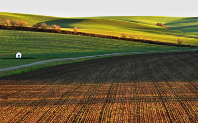 Čas pro malou modlitbu.