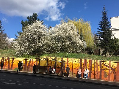 Taková obyčejná zastávka*