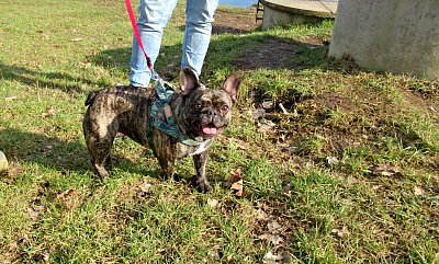 Ahoj, já jsem Růženka *