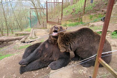 Usmívej se, jsou tu lidi *