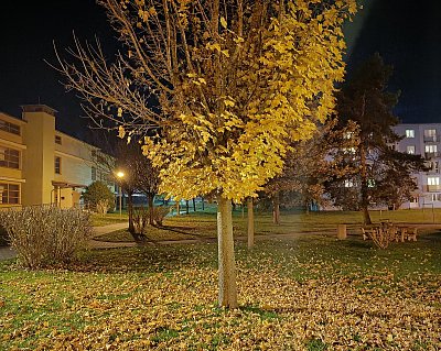 Zbytek zlata ve Zlatých Horách