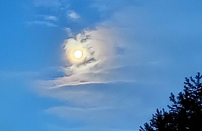 "Uhni!"  "Vždyť couvám ..."