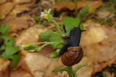 Daří se nám - je všeho hojnost :-)
