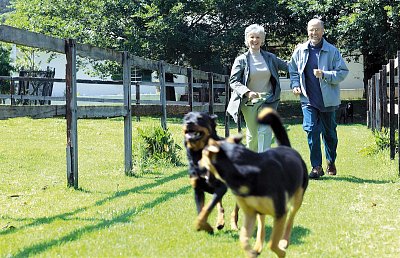 Venčení je krok k lásce. Přibývá párů, které se seznámily díky psům