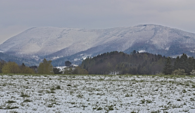 Jarní pozdrav z Rožnova p.R.