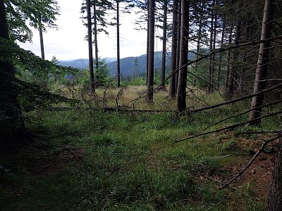 Bohem zapomenutý kraj *