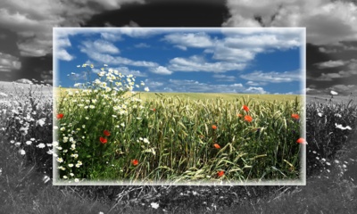 Jen tak pro radost ...