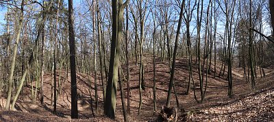 Zde stával hrad Jevín *