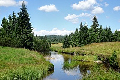 Jizerka - Smaragdový potok