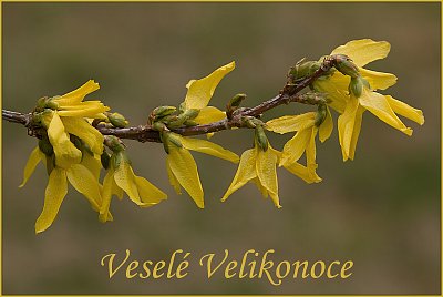 ..... přeji všem íčkařům