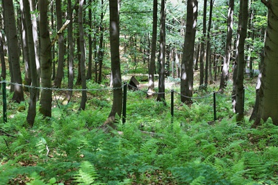 K prameni Rožnovské Bečvy