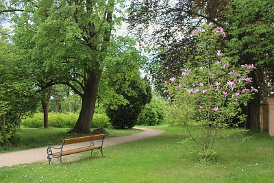 Rozkvetlý park