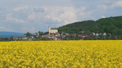 Žlutá s výhledem na kostel ve Všeni