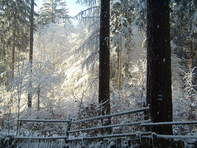 Kam dojdem po modré...