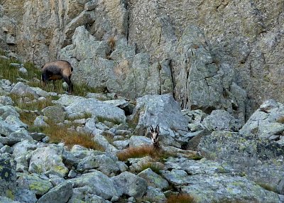 Můj "úlovek" z Vysokých Tater