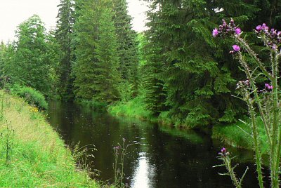 Schwarzenberský kanál na Šumavě