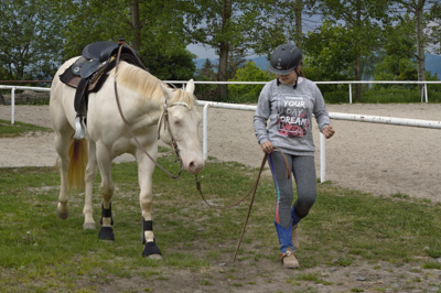 Když je koníčkem kůň