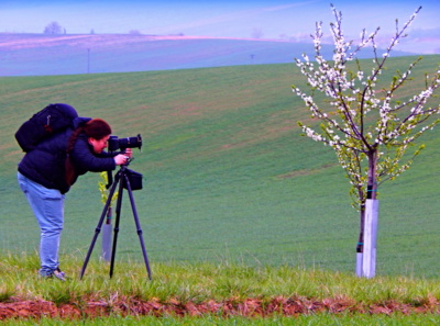 Když se fotí strom....