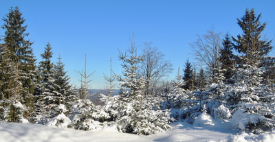 Když se zima vydaří