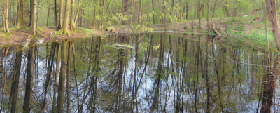 Když slunce zapadá