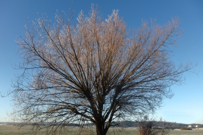 Když svítí sluníčko