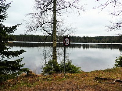 Kladský rybník - jeden z asi 10-tich