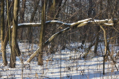 Kolik trojúhelníků se tu skrývá?