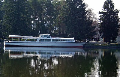 Racek v přístavu   *