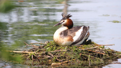 Kouzlo okamžiku II.