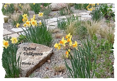 Všem přeji příjemně prožité jarní dny :-)