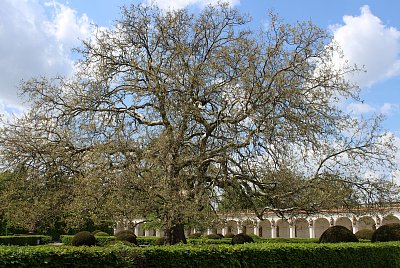 Květná zahrada v Kroměříži