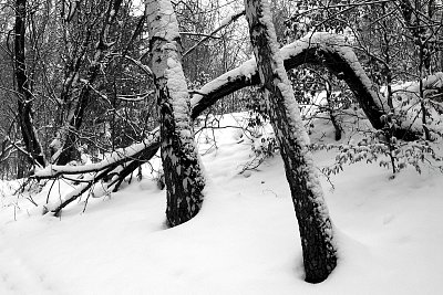 Zima v Krušných horách