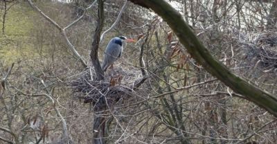 Kuchyň, obývák, ložnice ...